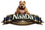 NaaDa Bullyz